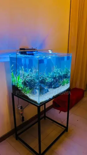 Natural Look Aquarium