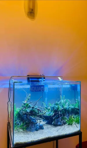 Natural Look Aquarium