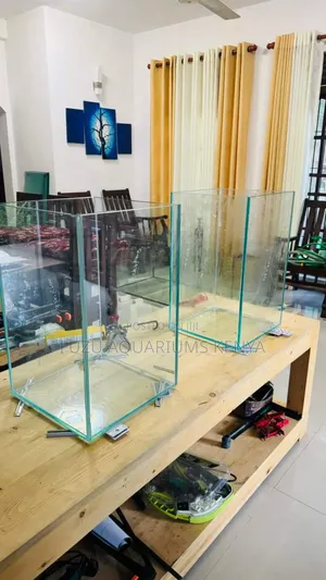 Empty Aquarium With Lid