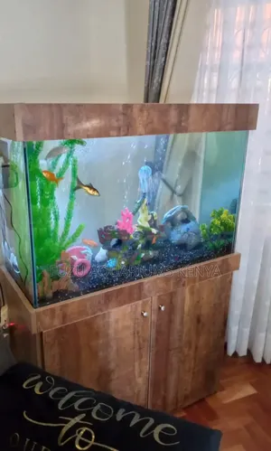 Fully Equipped Aquarium With Stand