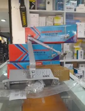 Adjustable Hydraulic Door Closer 65kgs