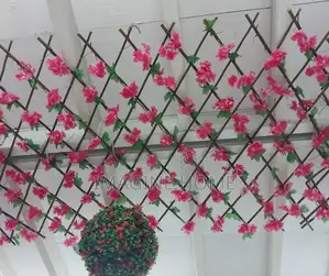 Red Beautiful Stretchable/Expandable Green Fence Balcony Dec