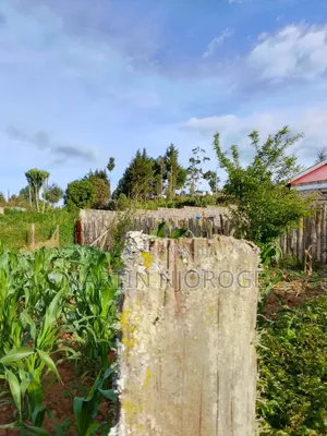 1⁄2 Acre Murengeti