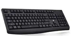 HP USB Keyboard Black - 3cy44pa