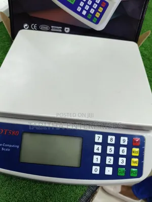 Digital Weighing Scale 30kg 