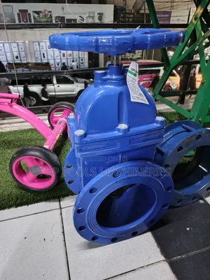 Sluice Valve 8" Inch