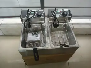Flyer 6L Double Deep Fryer Potato Chip Fryer