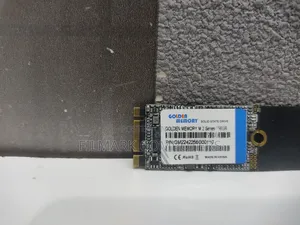 Lenovo Thinkpad X250 T450 Golden Memory 256gb M.2 Ssd[2242]