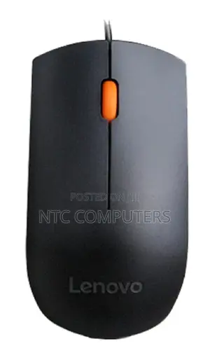 Lenovo 300 Wired USB Mouse - Black - GX30M39704