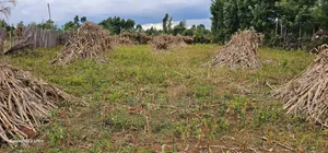 1⁄4 Plot For Sale In Kiplombe Eldoret