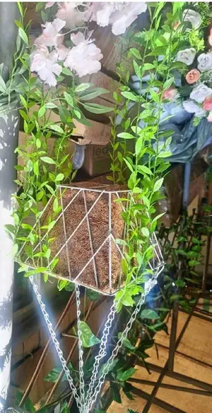 Artificial Wall Hangings