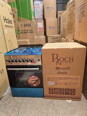 60*60 Roch Silver 3+1 Standing Cooker