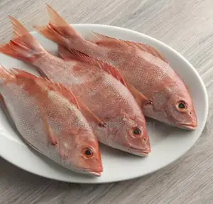 Red Snapper