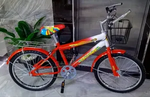 Teenage / Adult Sports Bike Size 20