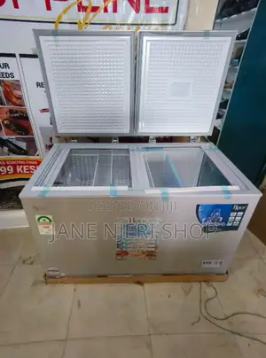 345L Double Door RCF-450g Roch Deep Freezer EC/G