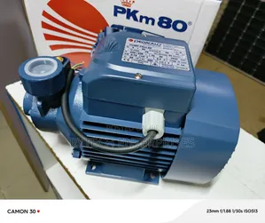 Pedroll Water Pump With Stainless Impeller (1hp)