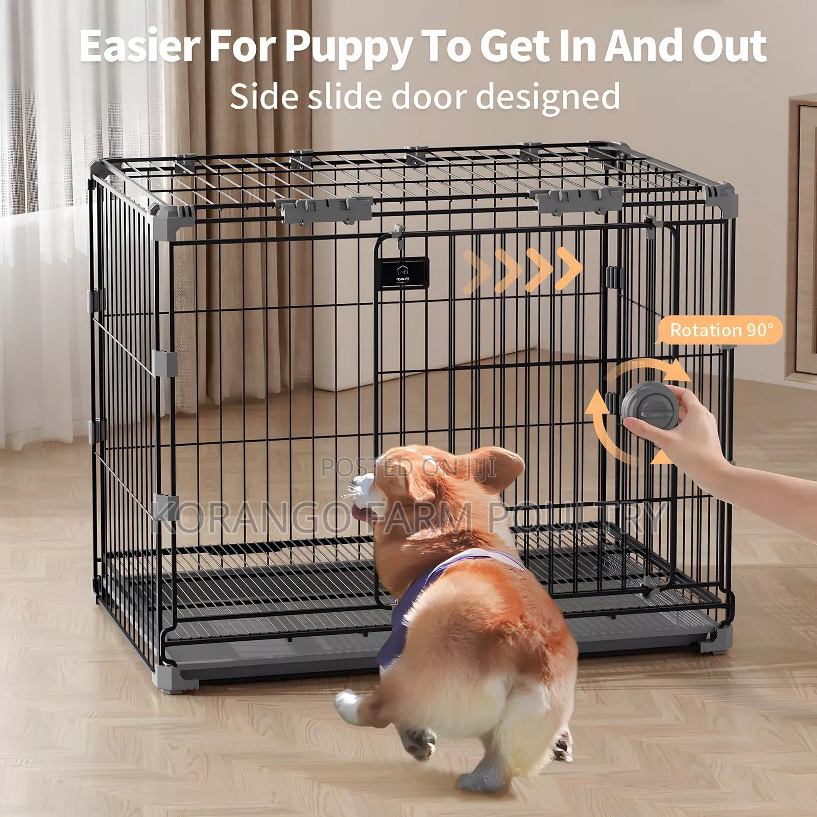 Dog Cages Spitz