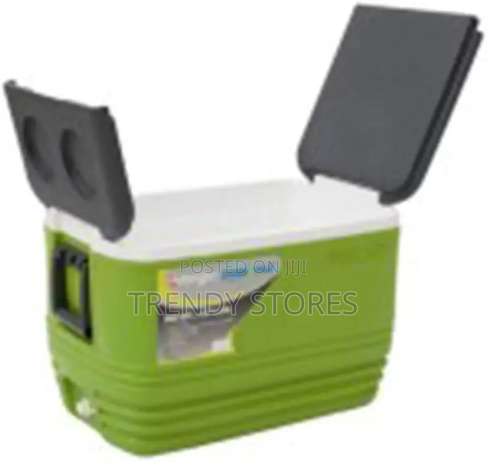Green 57L Ice Cooler Box