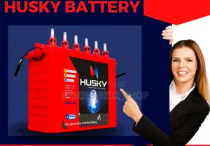 India 200ah Tall Tubular Battery