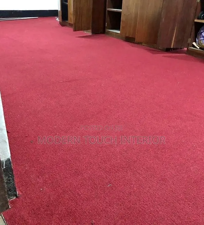 Warm, Cozy Delta Wall to Wall Carpet