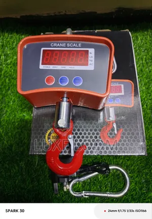 Crane Scale