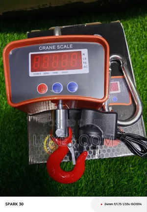 500kgs Crane Scale