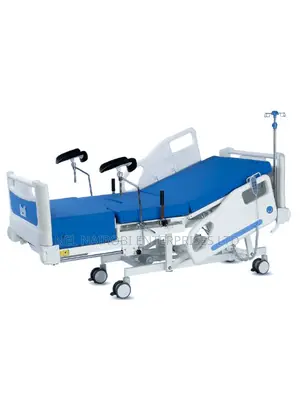 Electric Delivery Bed (Mp-Af007)