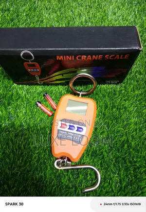 200kgs Mini Crane/ Crane Scale