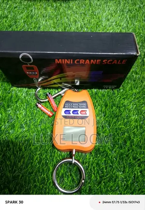 Crane Scale / Crane Scale