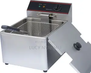 Top Quality Commercial Deep Fryer Single 8l