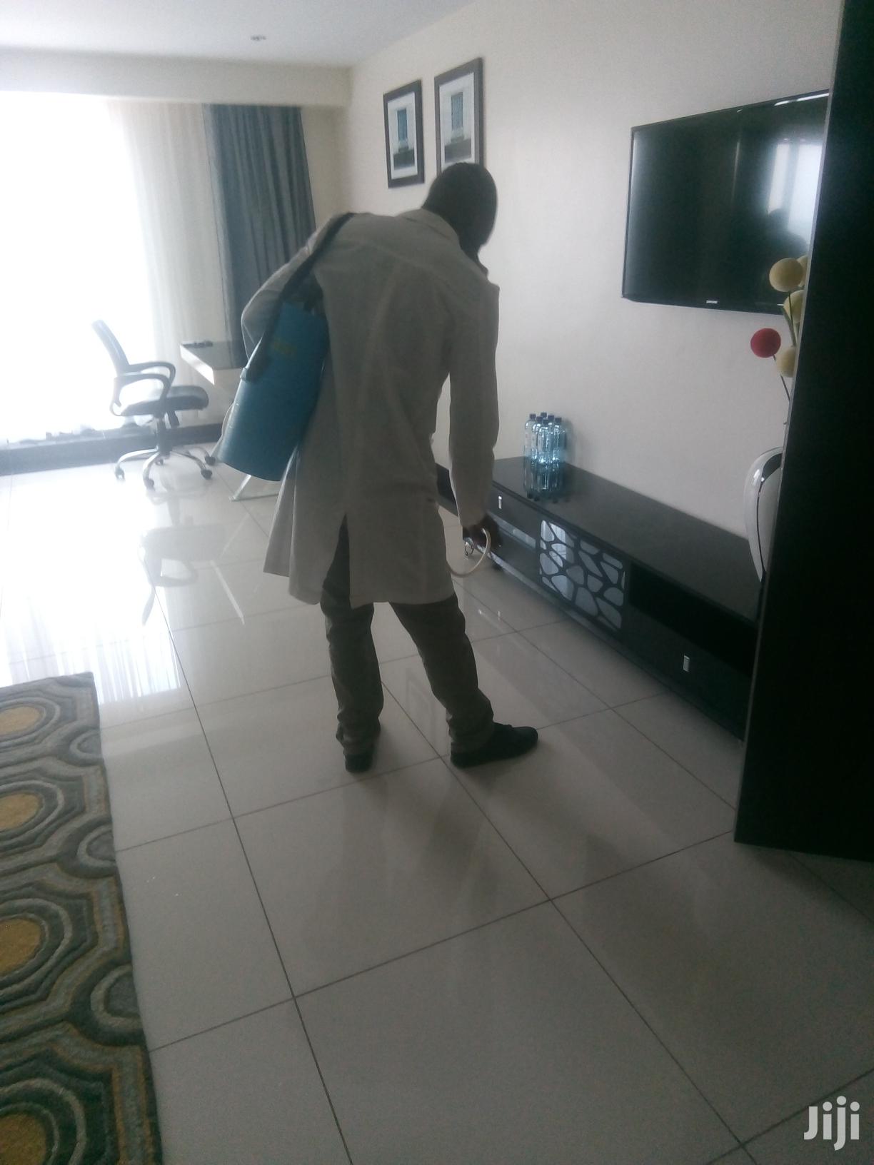 Pest Control Services Eg Bedbugs