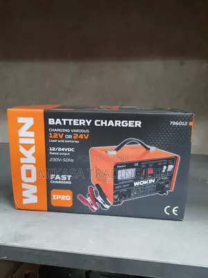 Wokin Battery Charger 12V or 24V