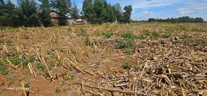 1⁄4 Plots for Sale Limo Hillside Eldoret