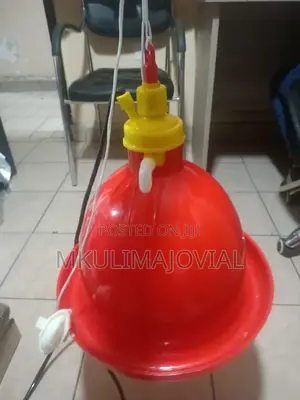 Automatic Bell Shaped Drinkers