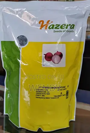 Neptune Onion Seeds