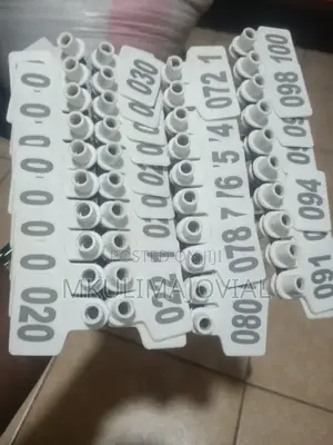 Cow Medium Broad Ear Tags New