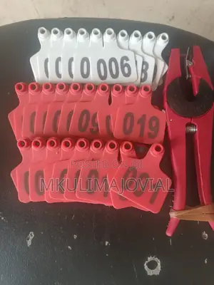 Cattle Ear Tags Numbered Ear Tags for Sheep Cows Goats Pigs