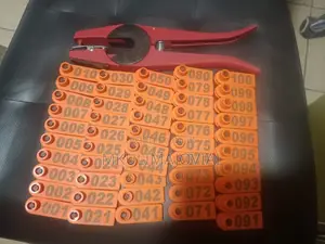 Orange Slim Numbered Ear Tags for Goats/Sheep