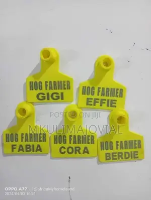Customized Tags Sheep/Goat Ear Tags -