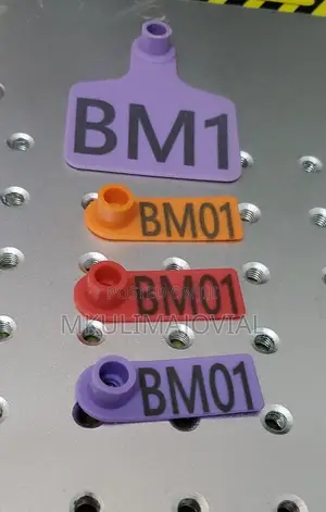 Customized Animal Ear Tags - Sizes in Different Colors