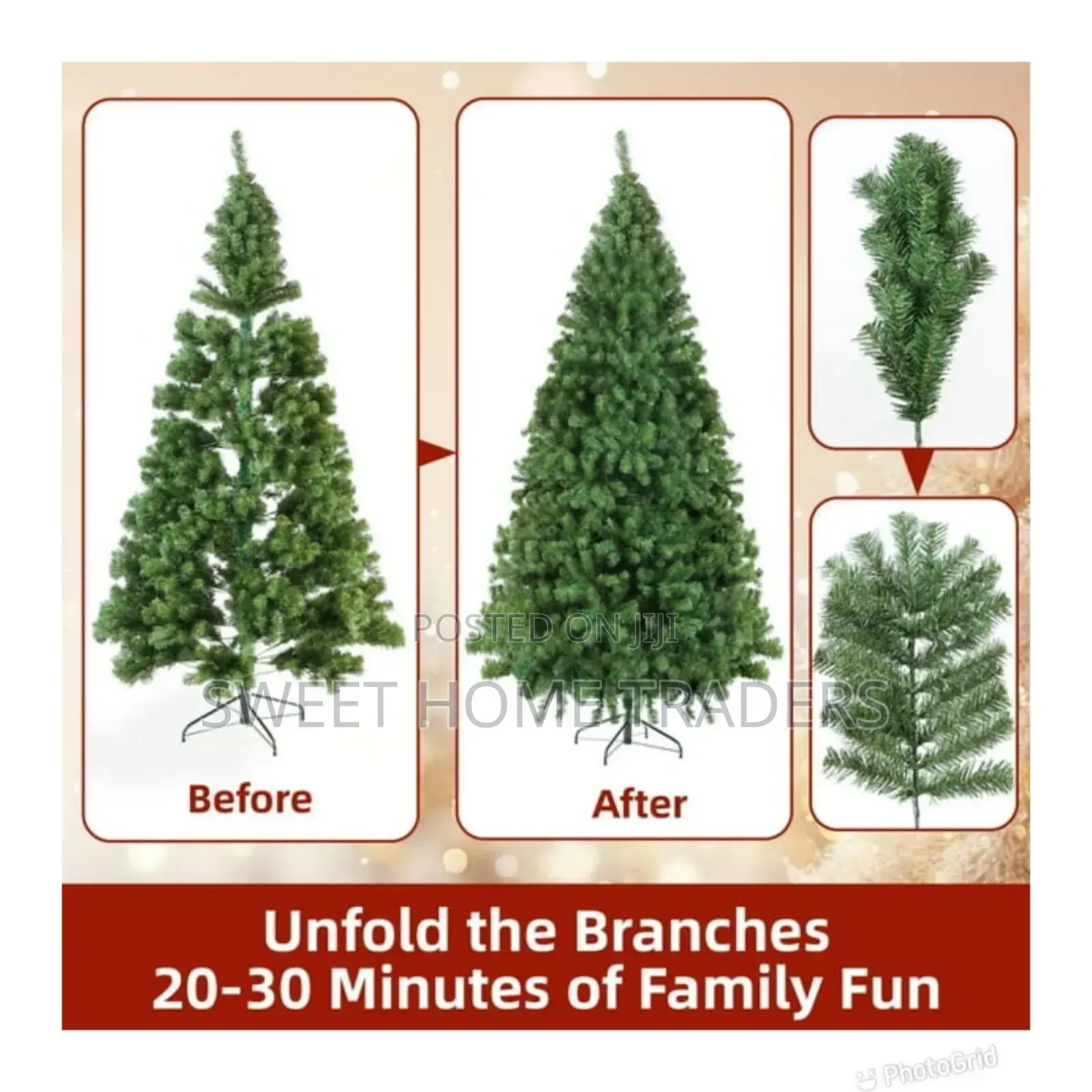 7 Feets Christmas Tree Cypress ,