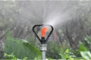 Sprinkler Heads That Keep Your Garden Thriving