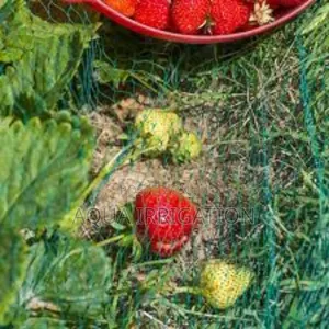 Keep Birds Out, Let Your Plants Thrive