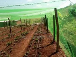 Ensure Healthy Growth With Our Bird Netting
