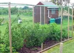 Safeguard Your Crops With Strong Bird Nets