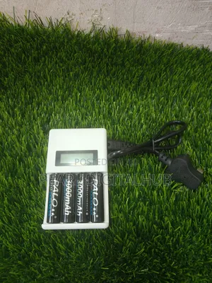 4 Palo Battery+ LCD Display Charger