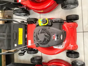 Briggs and Stratton Lawn Mower 140cc