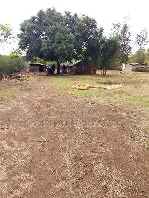 Kirinyaga County Prime 50x100plots in Makutano (Mwea) PI