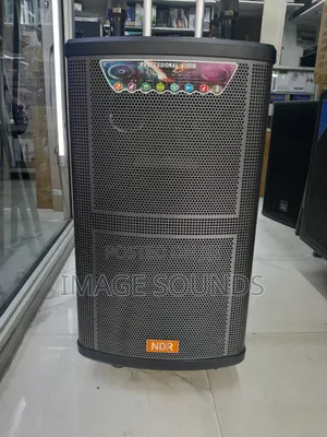 Powerful Portable Speaker 15inch PA
