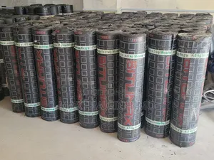 Flat Roof /Concrete Gutters Waterproofing/App Membrene